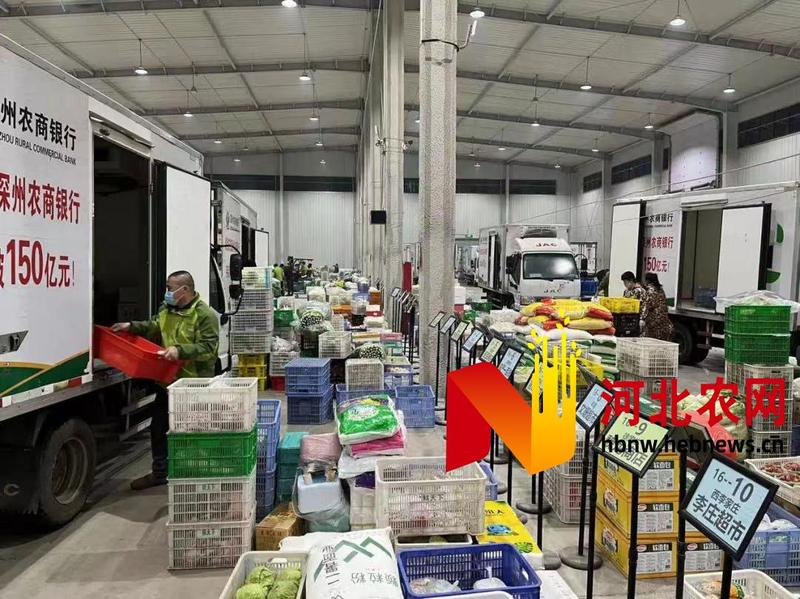 深州市農(nóng)業(yè)產(chǎn)業(yè)項目帶動經(jīng)濟發(fā)展加速度 日用百貨銷售新契機